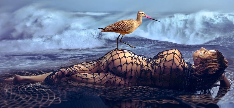 Mermaid Encounters